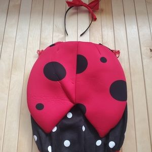 Ladybug costume